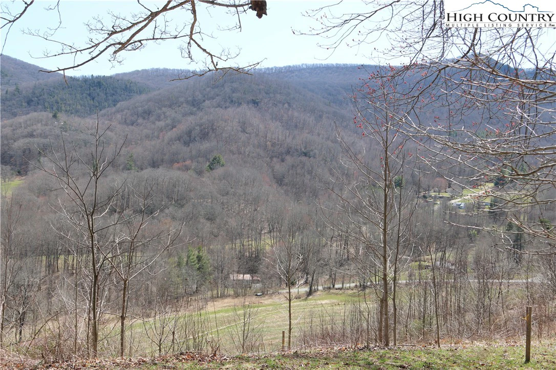 Image number 11 for the current listing