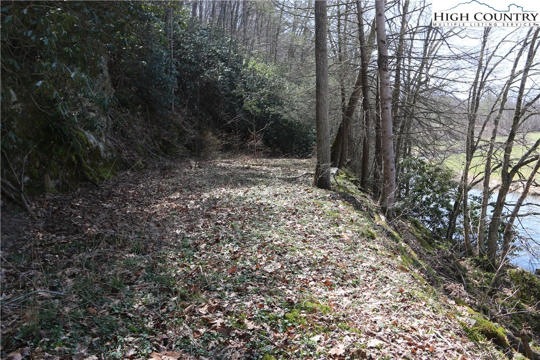 Image number 4 for the current listing