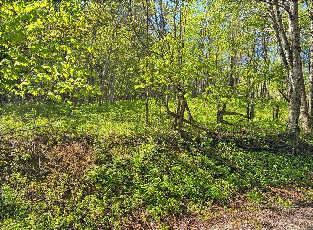 Image number 3 for the current listing