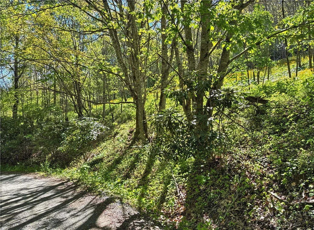 Image number 4 for the current listing