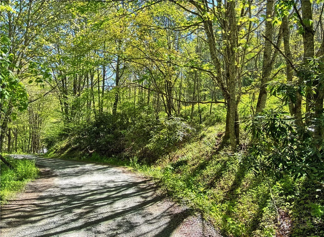 Image number 5 for the current listing