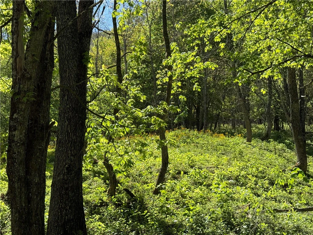 Image number 7 for the current listing
