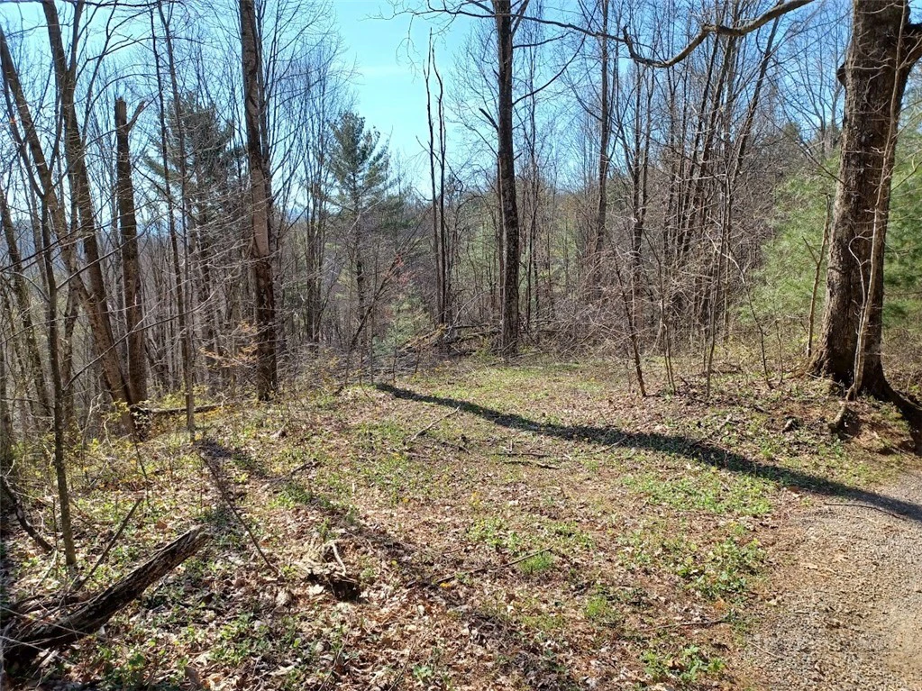 Image number 1 for the current listing
