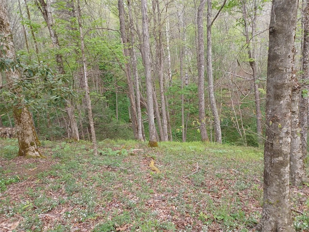 Image number 4 for the current listing