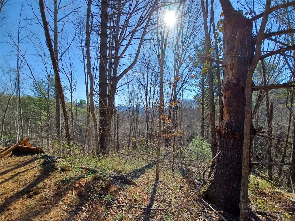 Image number 9 for the current listing