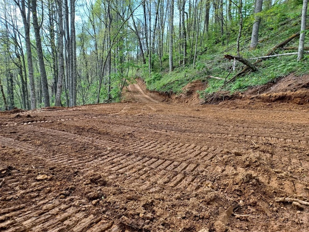 Image number 12 for the current listing