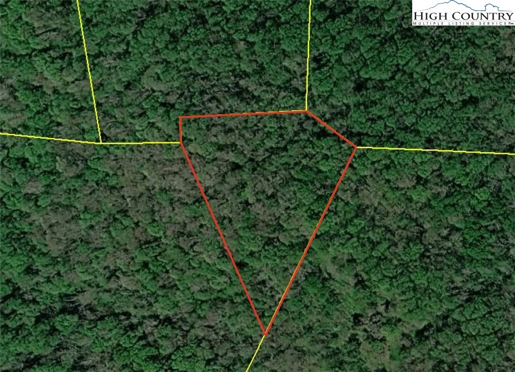 Image number 1 for the current listing