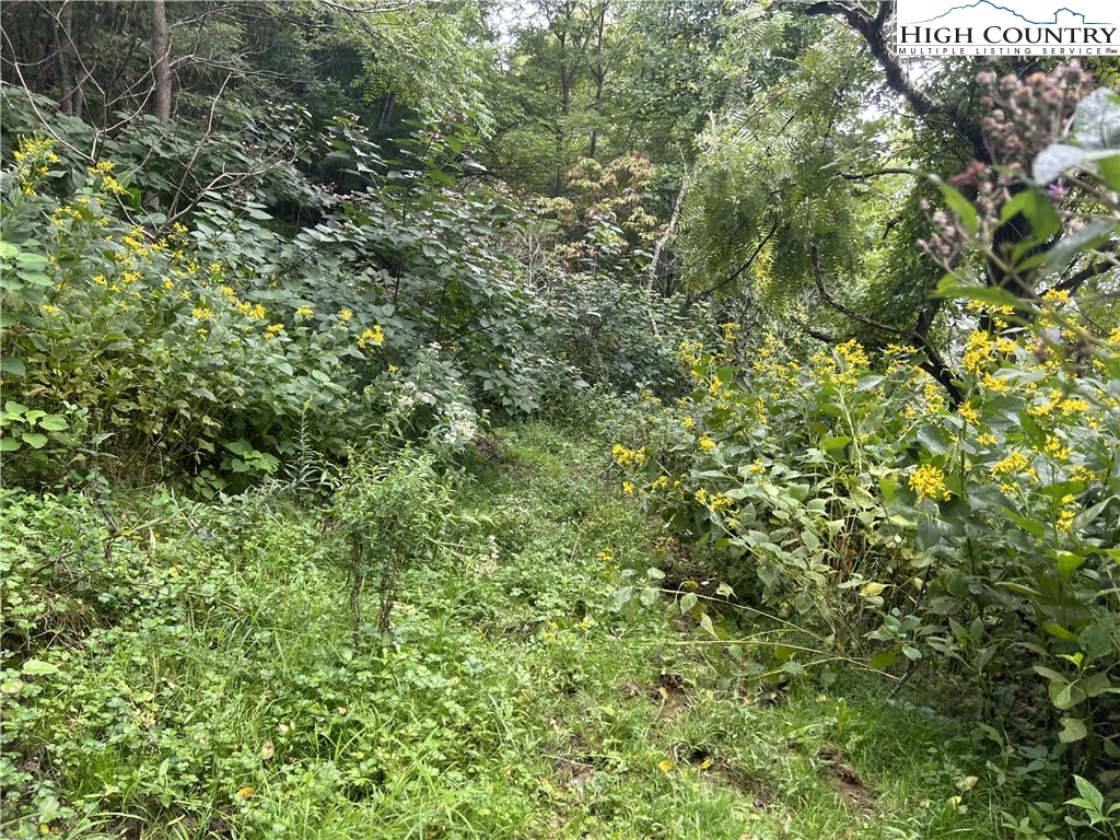 Image number 3 for the current listing