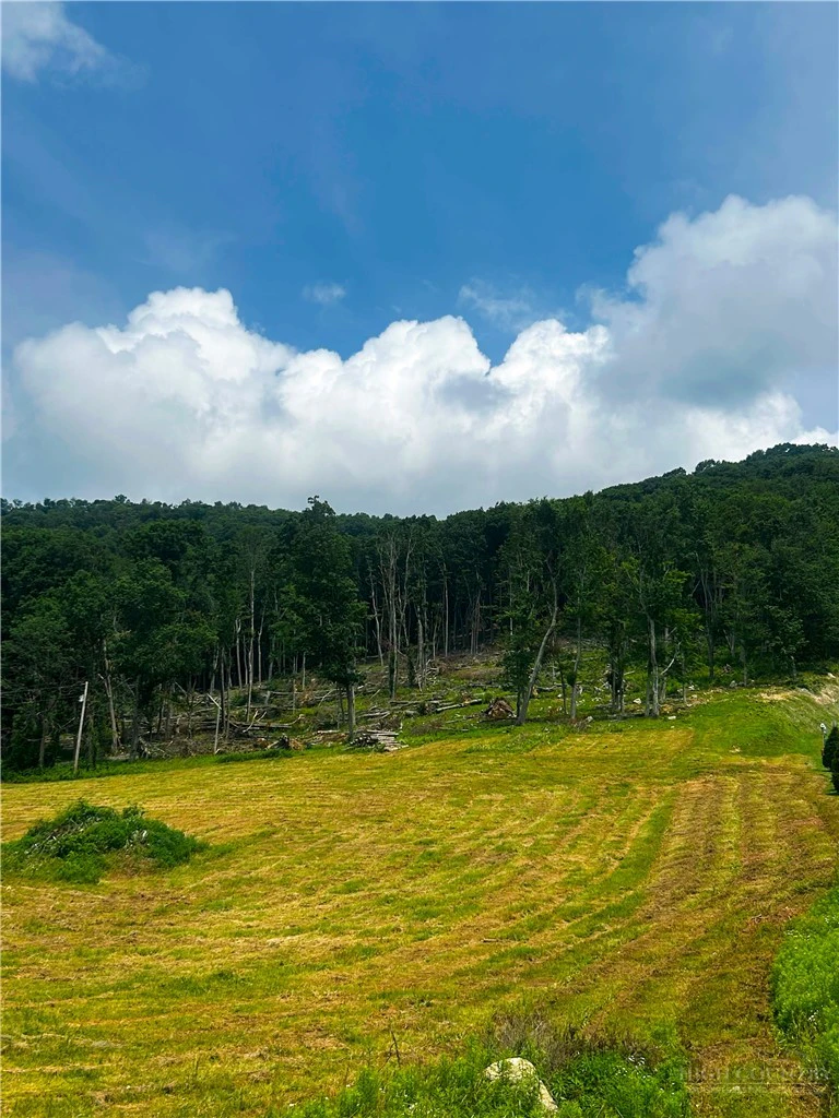 Image number 1 for the current listing