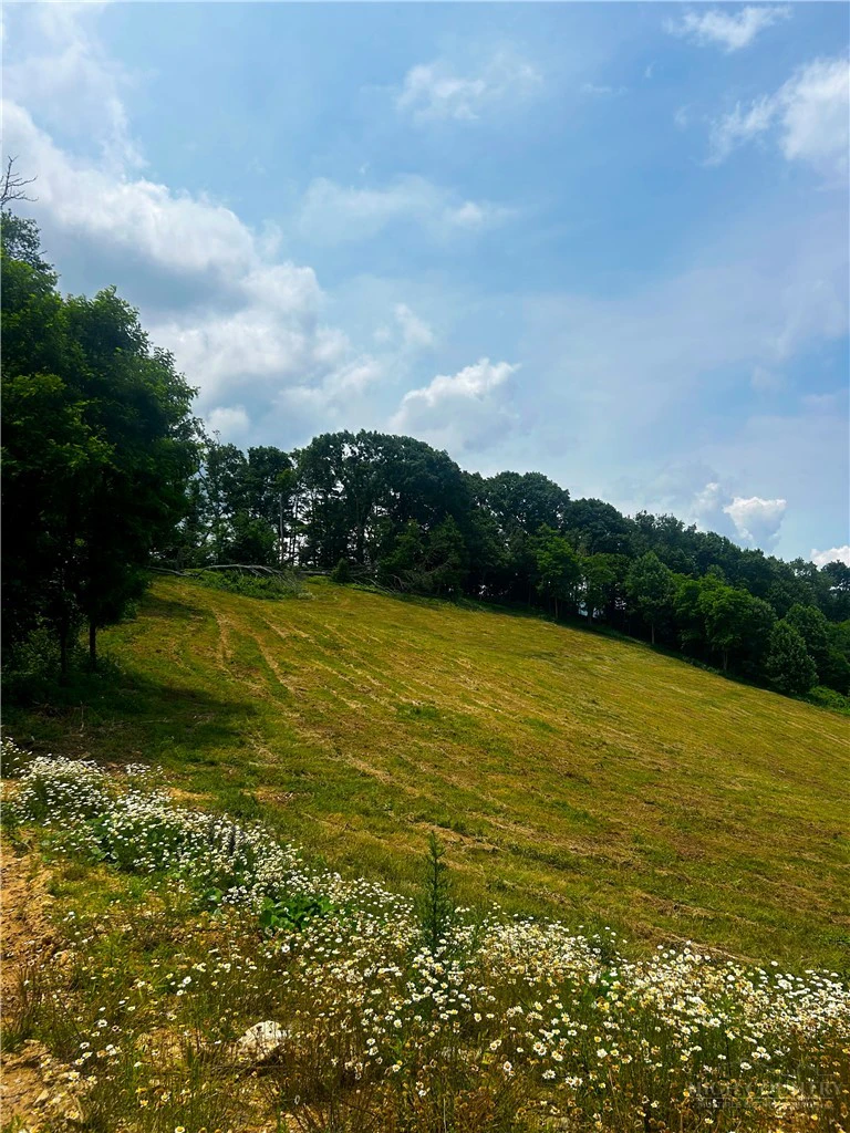 Image number 2 for the current listing