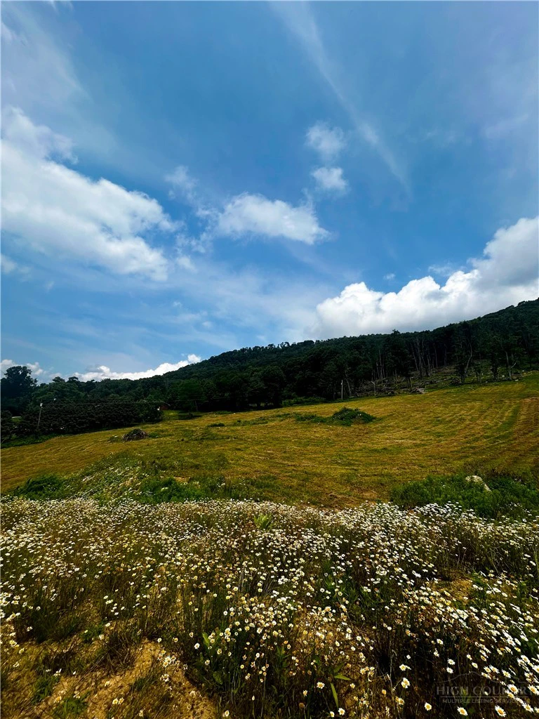 Image number 3 for the current listing