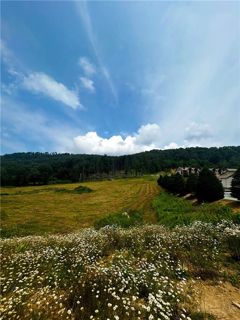 Image number 4 for the current listing