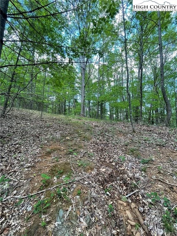 Image number 13 for the current listing