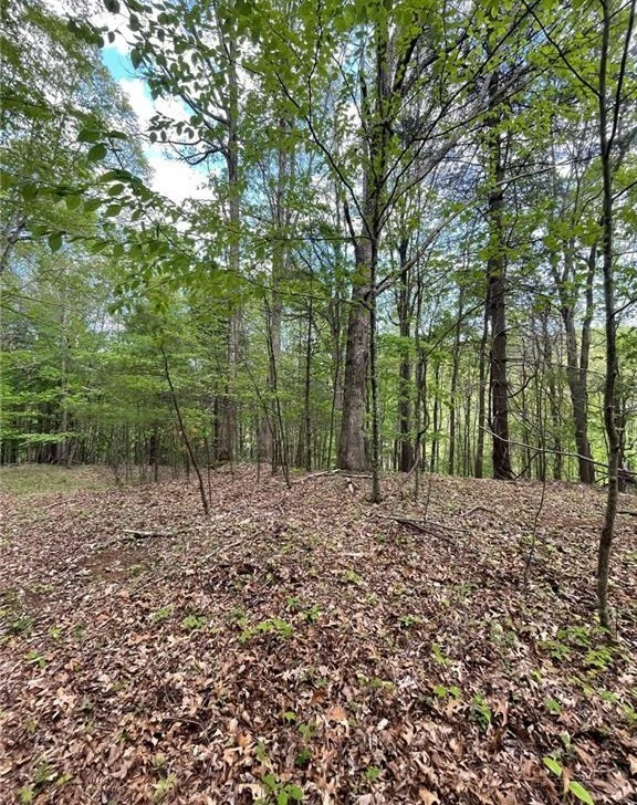 Image number 1 for the current listing