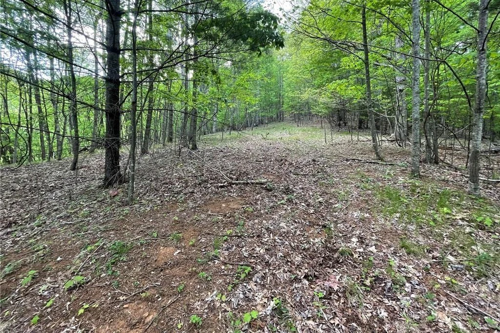 Image number 2 for the current listing