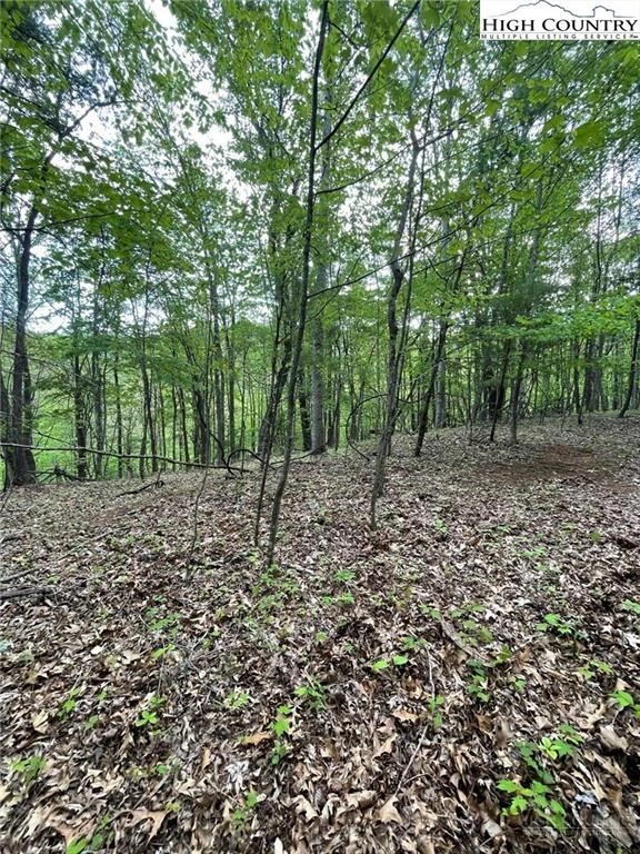 Image number 3 for the current listing
