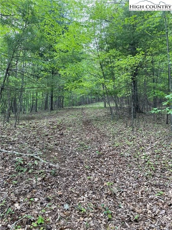 Image number 4 for the current listing