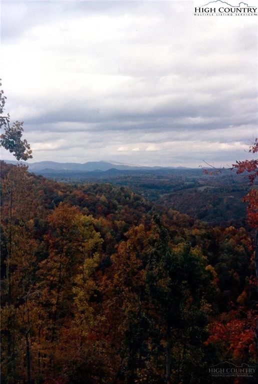 Image number 6 for the current listing