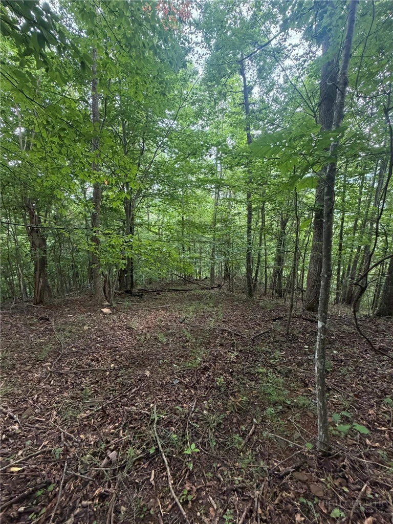 Image number 1 for the current listing