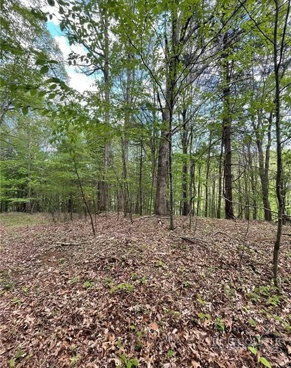 Image number 2 for the current listing