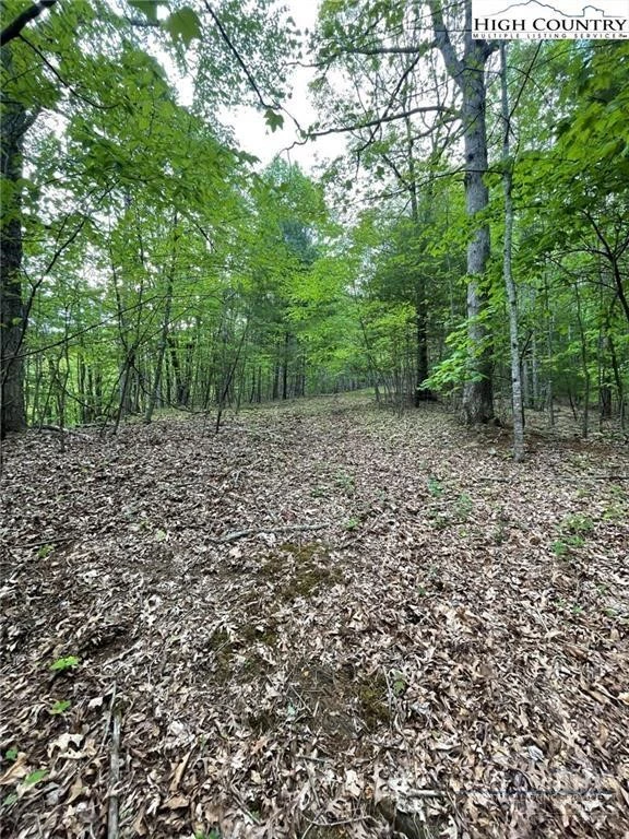 Image number 3 for the current listing