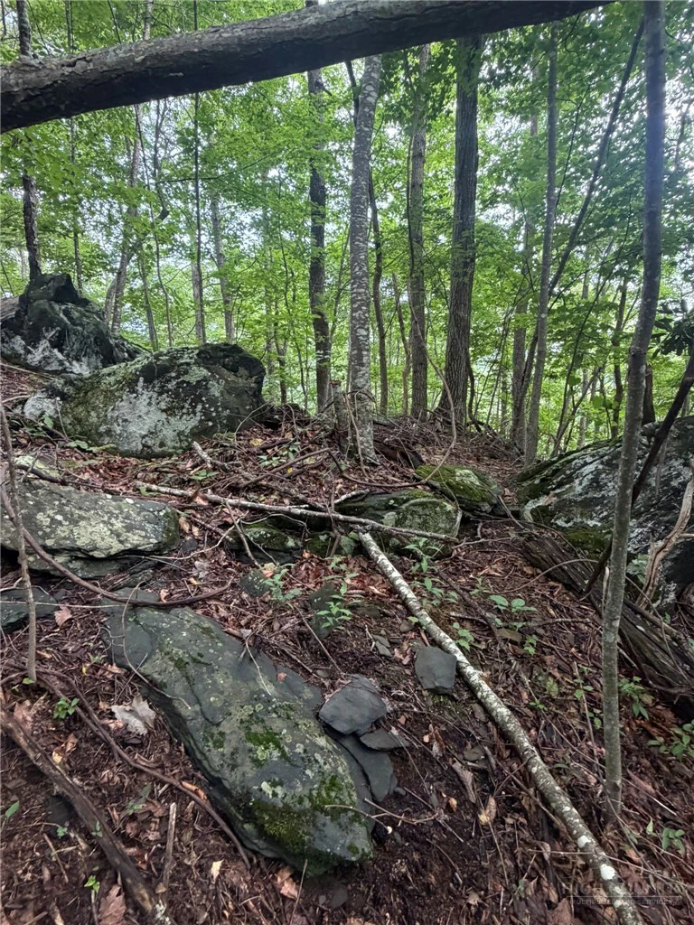 Image number 4 for the current listing