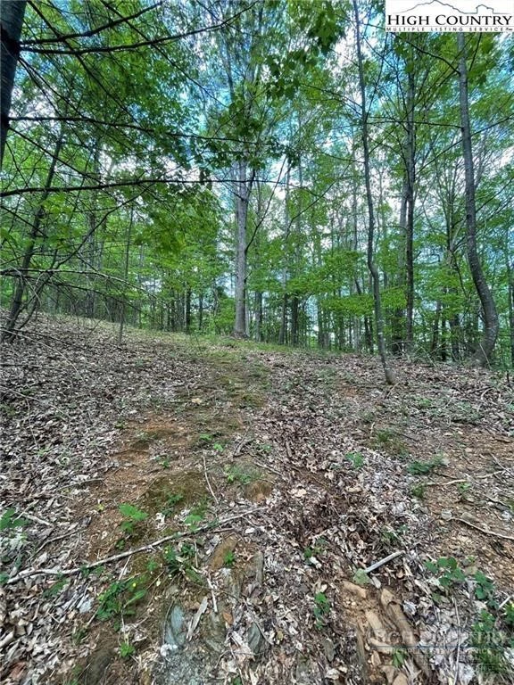 Image number 5 for the current listing