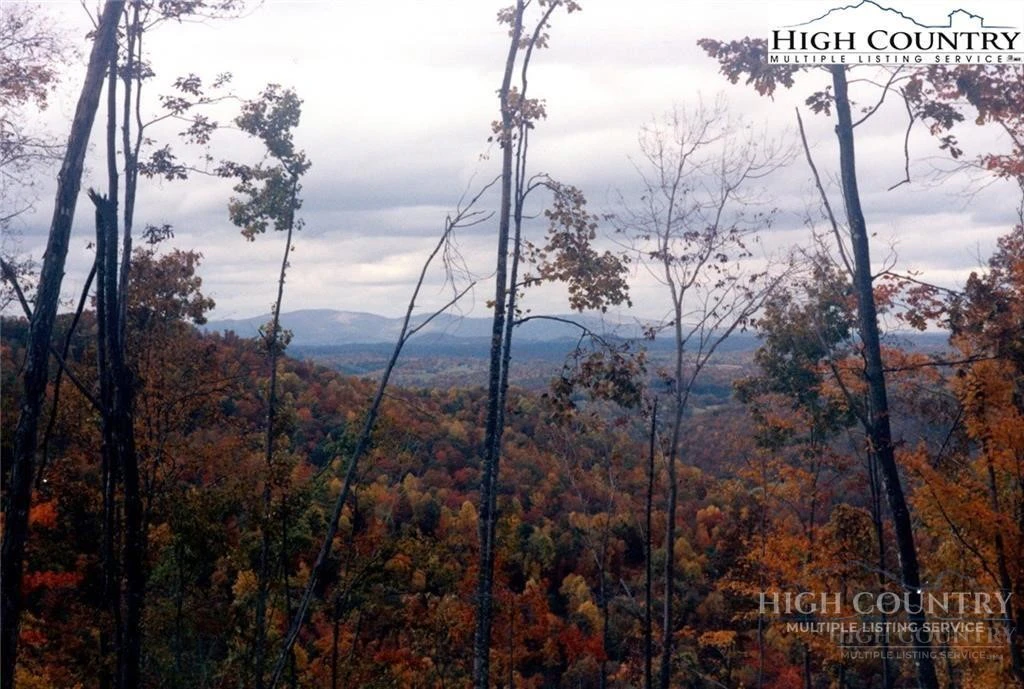 Image number 13 for the current listing