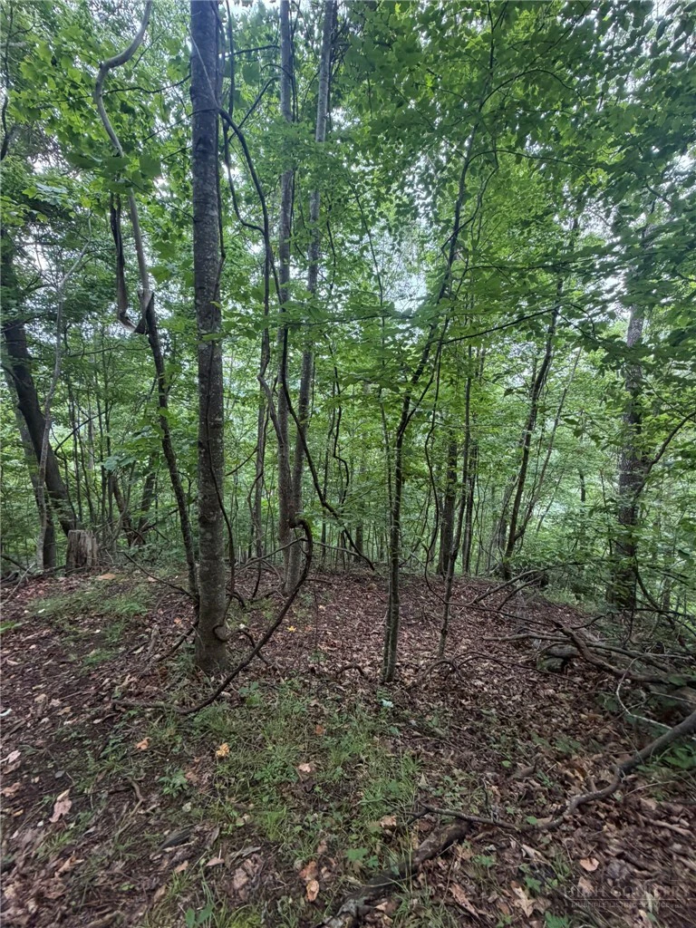 Image number 20 for the current listing
