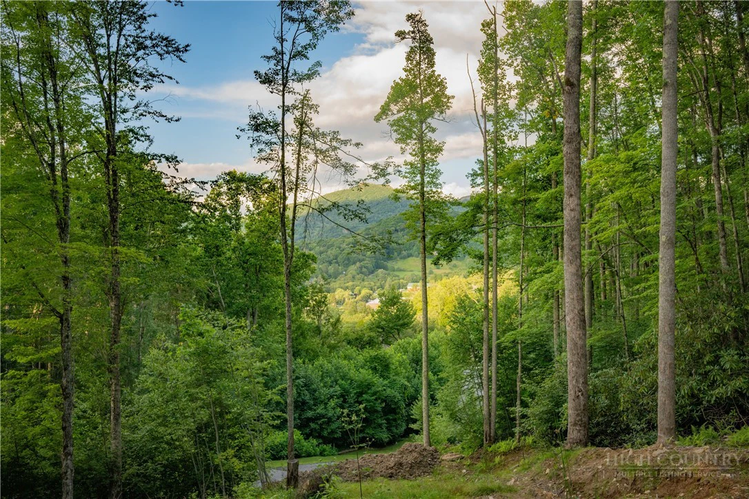 Image number 2 for the current listing