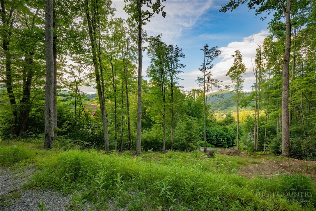 Image number 3 for the current listing
