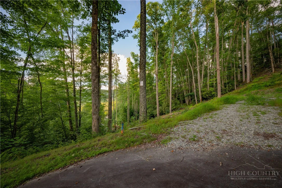 Image number 9 for the current listing