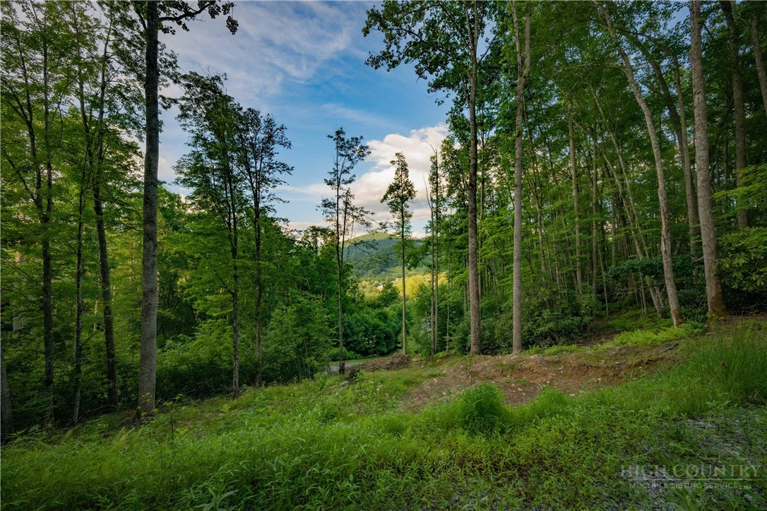 Image number 1 for the current listing