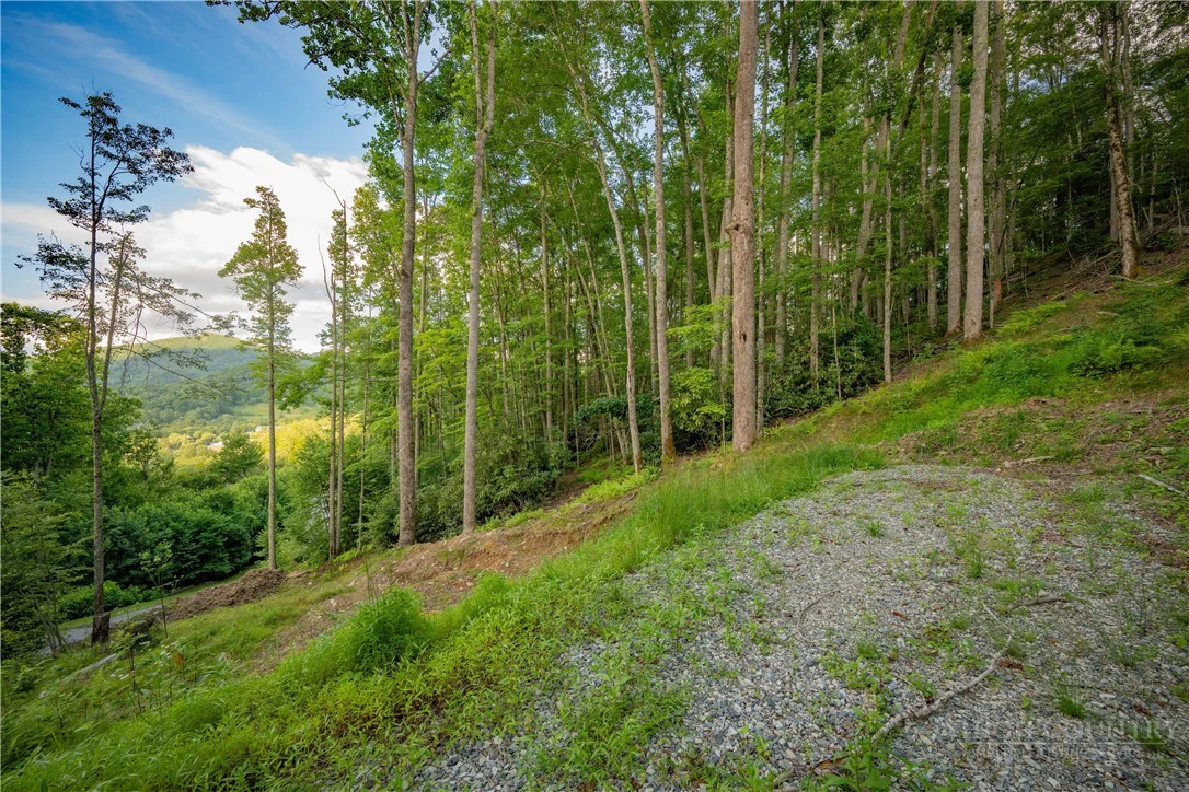 Image number 4 for the current listing