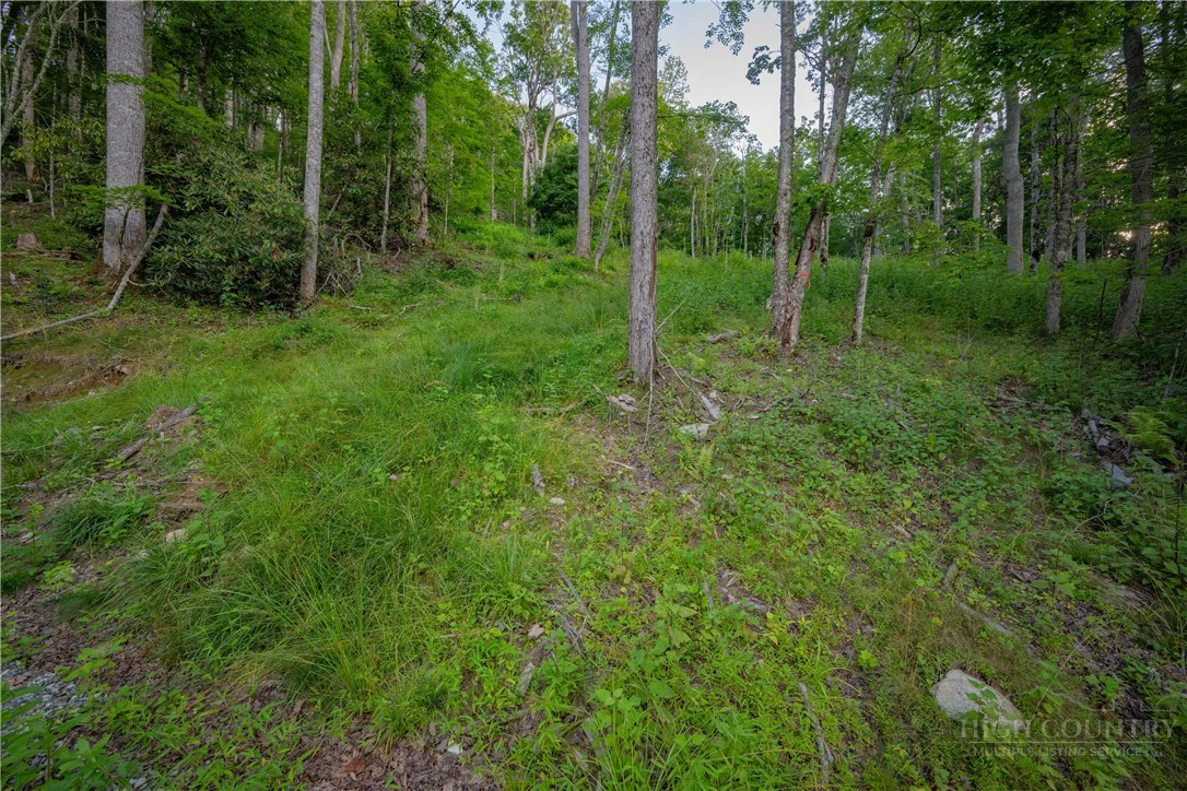 Image number 6 for the current listing