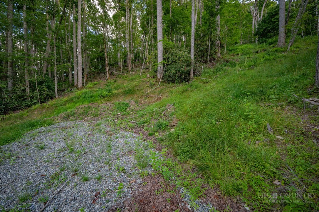 Image number 7 for the current listing