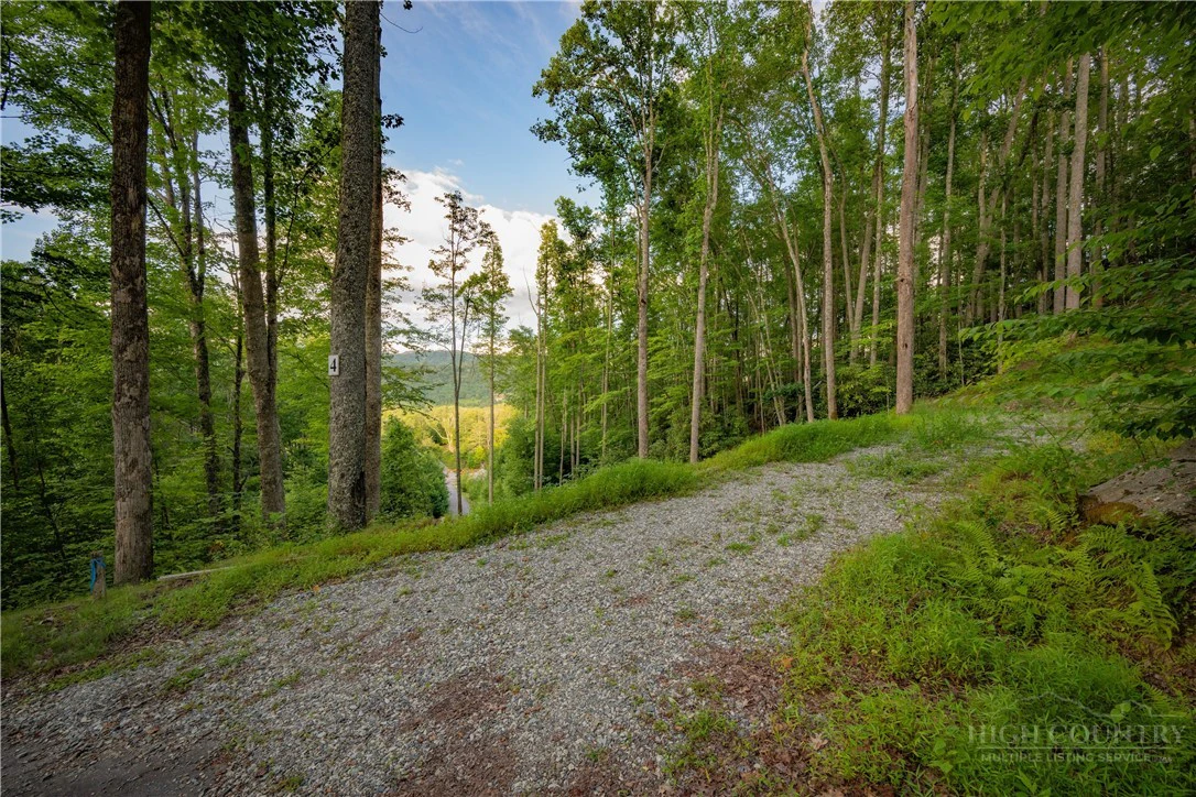 Image number 8 for the current listing