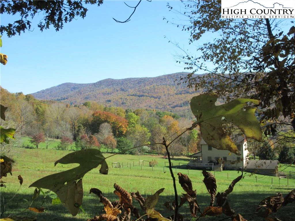 Image number 1 for the current listing