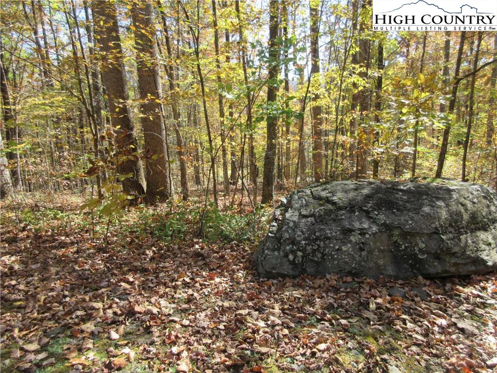 Image number 3 for the current listing