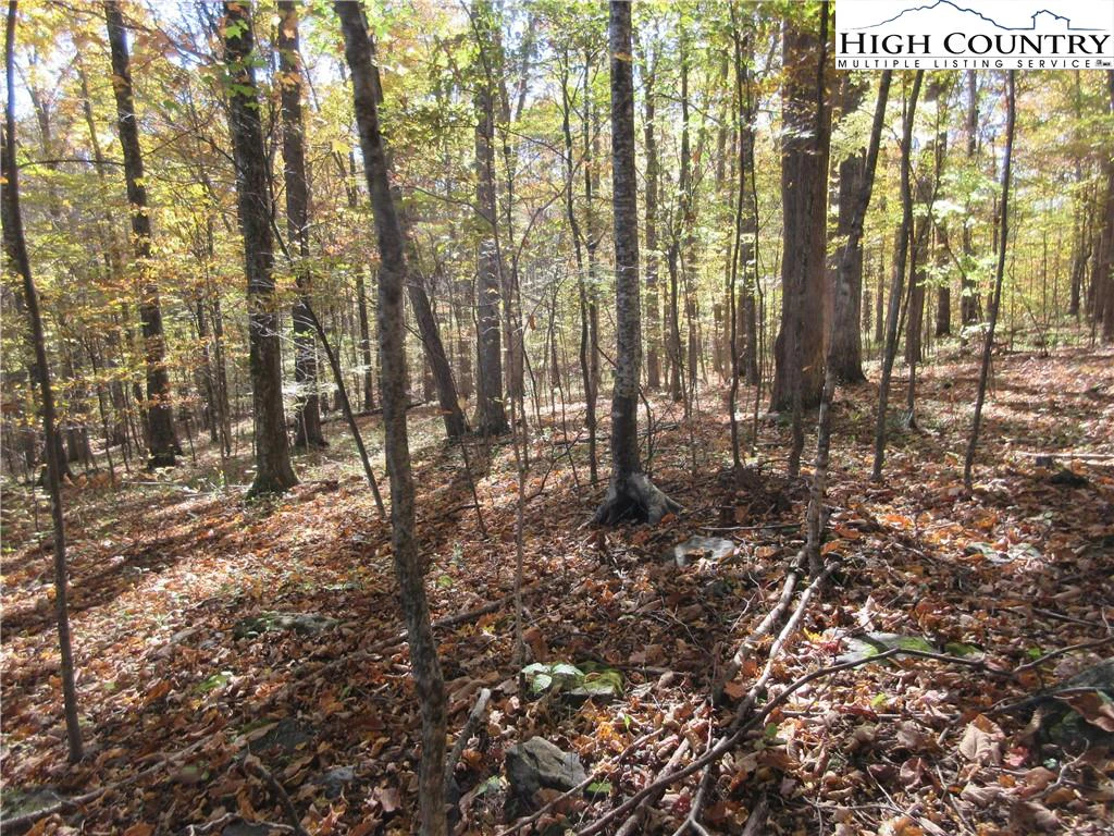 Image number 6 for the current listing