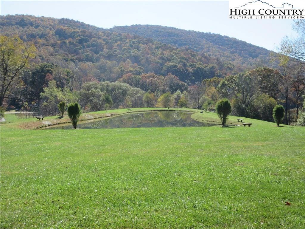 Image number 7 for the current listing