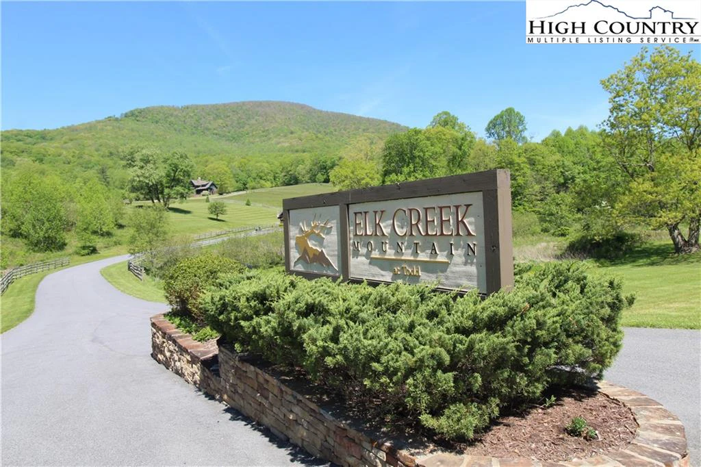 Image number 1 for the current listing