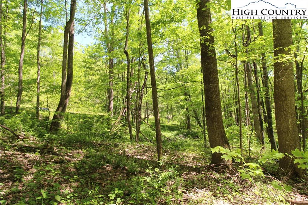 Image number 11 for the current listing