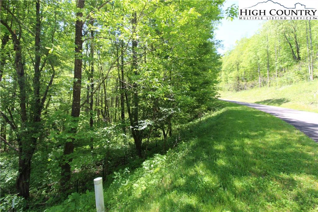 Image number 6 for the current listing