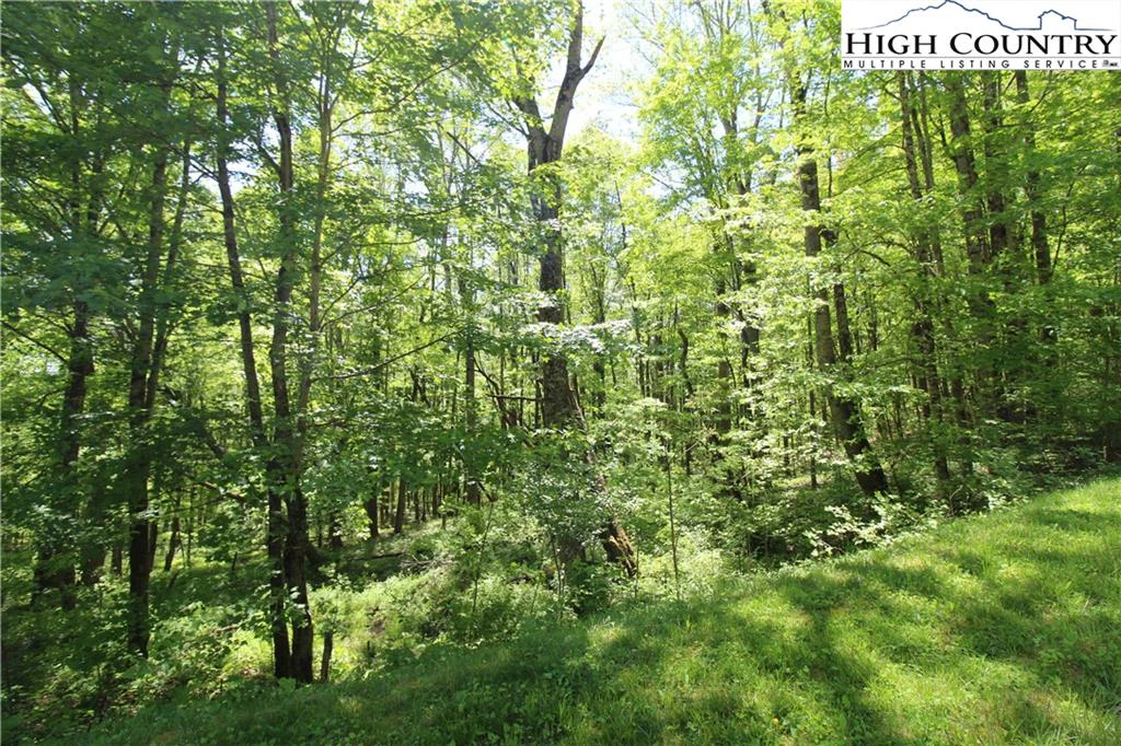 Image number 7 for the current listing