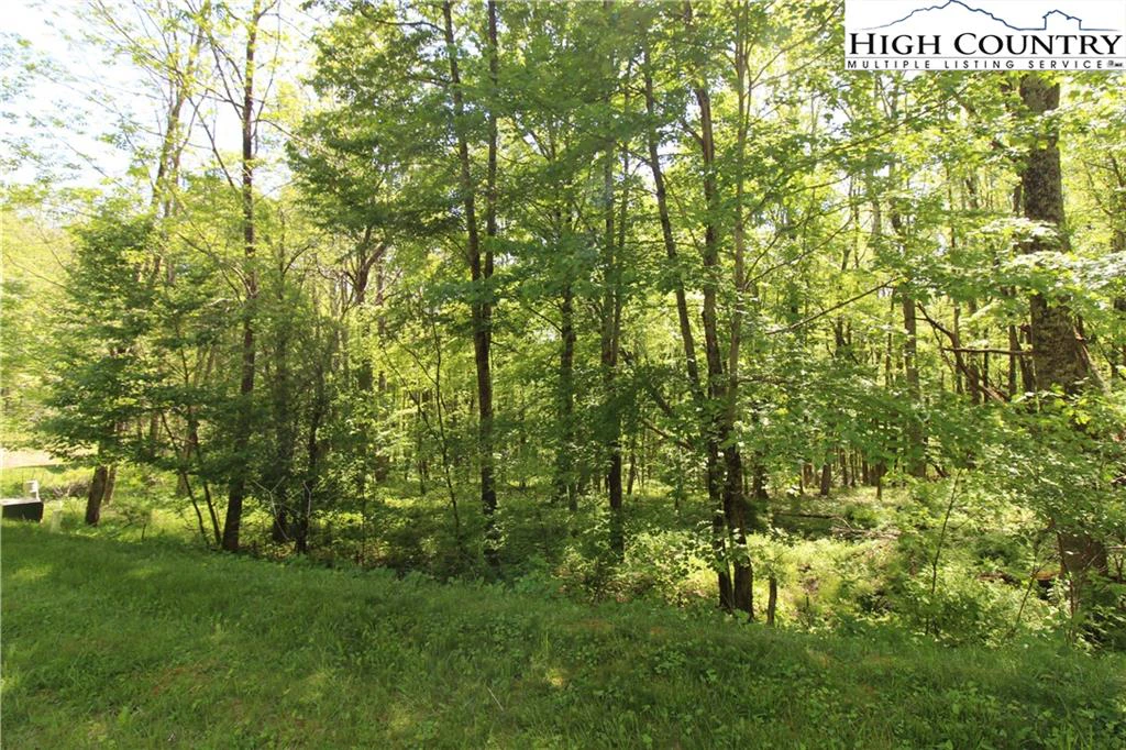Image number 8 for the current listing