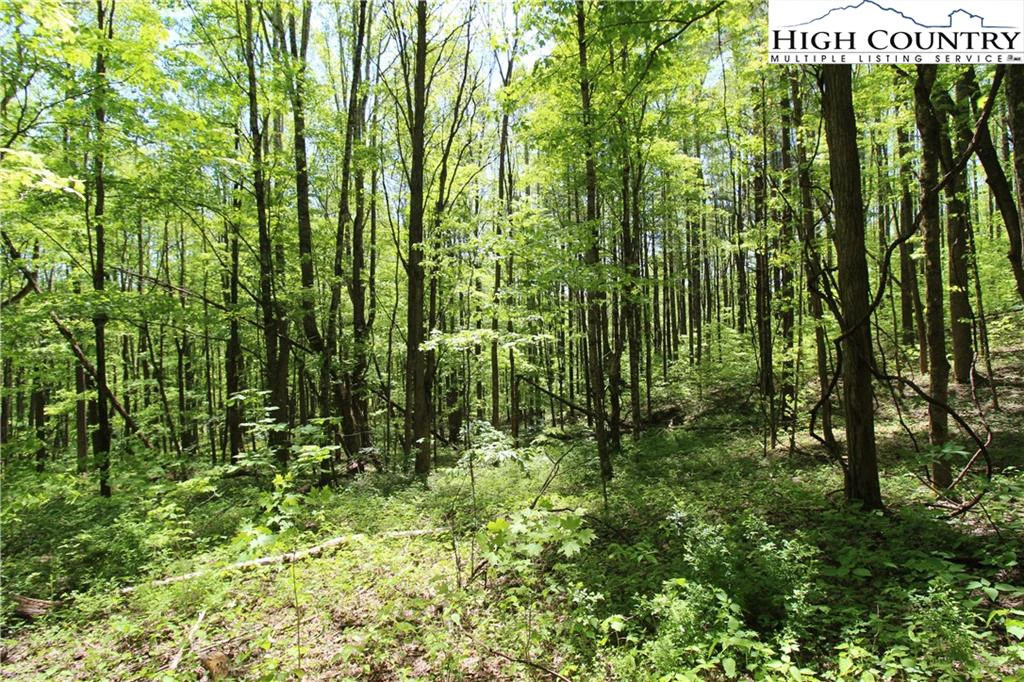 Image number 10 for the current listing