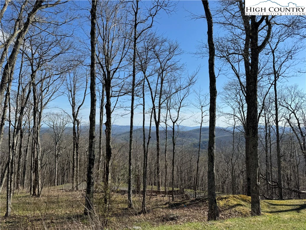 Image number 1 for the current listing