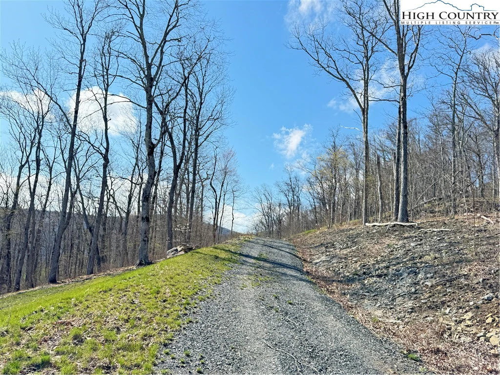 Image number 6 for the current listing