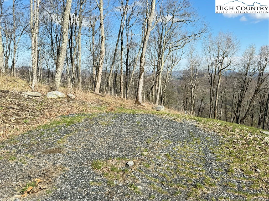 Image number 7 for the current listing